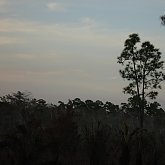 Sunset over Everglades